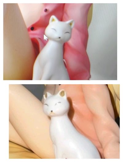 樱花庄的宠物女孩 椎名真白 电击特别版