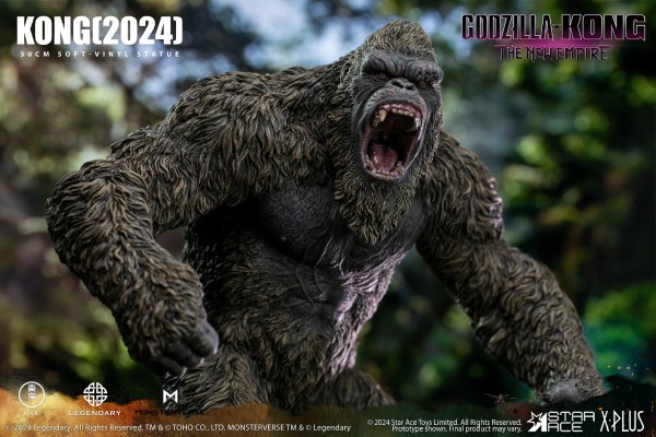 金刚（2024）