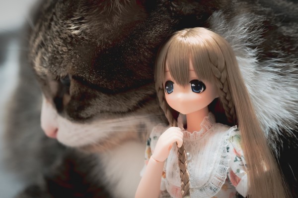 EX☆CUTE Family ～meow×meow a・la・mode～爱猫人士／米娅