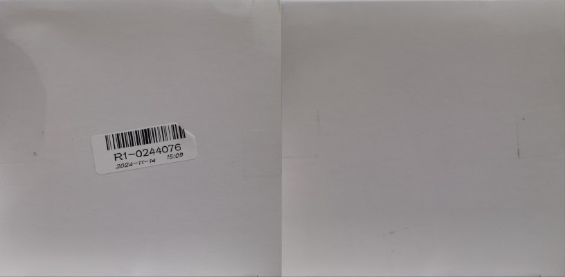 Re：从零开始的异世界生活 Coreful人偶 雷姆~猫耳女仆造型~（TAITO线上抓娃娃专属款）