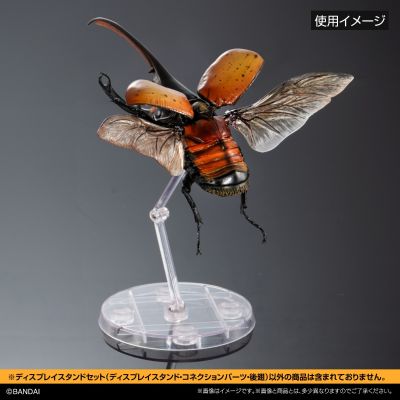 生物大图鉴专用 展示架套装 长戟大兜虫后翅