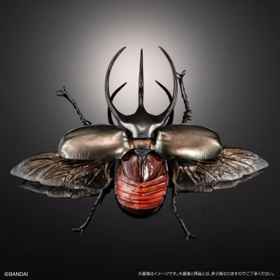 进化生物大图鉴 南洋大兜虫 展示架套装