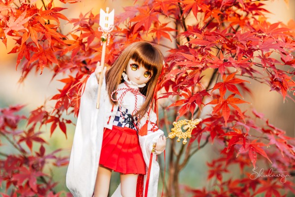 Dollfie Dream  DD 库特wafter 能美库特