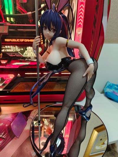 B-style 恶魔高中D×D HERO 姬岛朱乃 兔女郎2