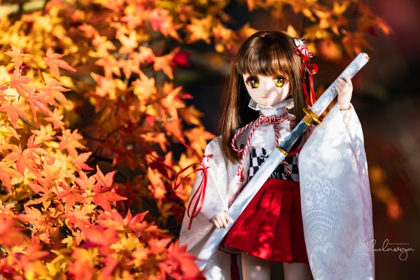 Dollfie Dream  DD 库特wafter 能美库特