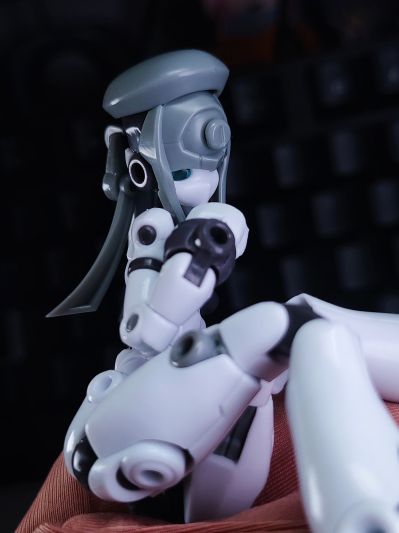 基因干涉系列 多米 素体套装