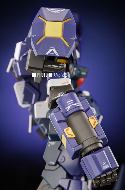HG 凶鸟搏斗型