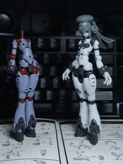 基因干涉系列 多米 素体套装