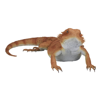 一番赏 爬行动物和两栖动物 ～小小的伙伴～ A奖 鬃狮蜥玩偶