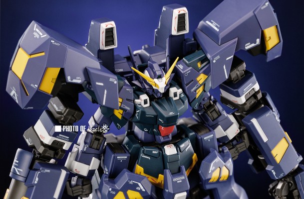 HG 凶鸟搏斗型