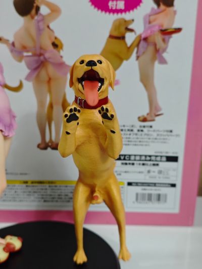 MDComics 兽DIRECT 川'R 主妇 misao(32岁)
