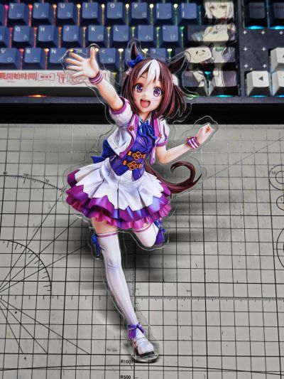 赛马娘 闪耀！优俊少女 东海帝皇 飞越地平线