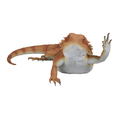 一番赏 爬行动物和两栖动物 ～小小的伙伴～ 最终大奖 鬃狮蜥玩偶 挥臂