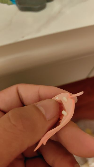龙小铃