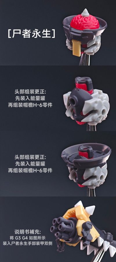 基因干涉系列 多米 素体套装