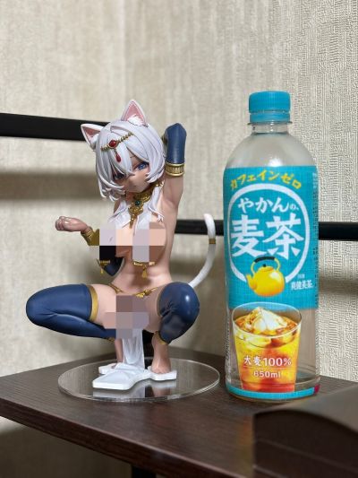 褐色猫娘 毛毛