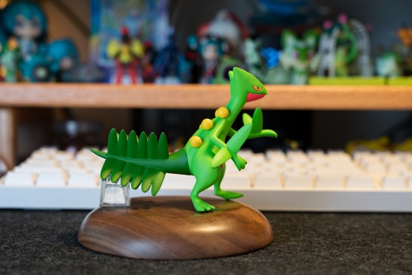 宝可梦比例世界 丰缘地区 蜥蜴王