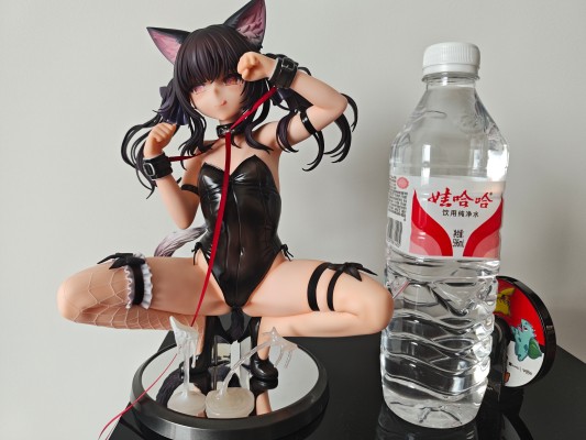 猫耳斯黛拉