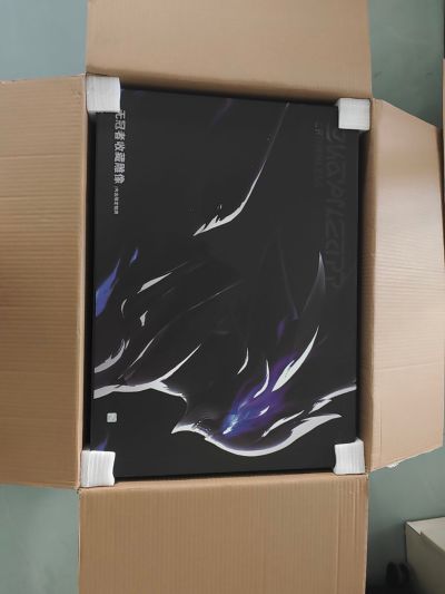 鸣潮 无冠者