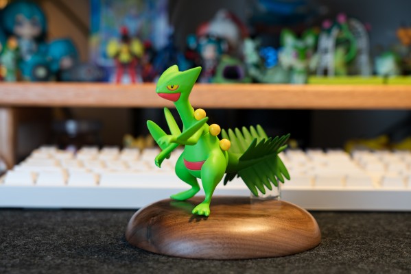 宝可梦比例世界 丰缘地区 蜥蜴王