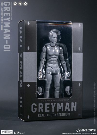 DAMTOYS 1/12 可动人形 “灰人”-NO.DPS11