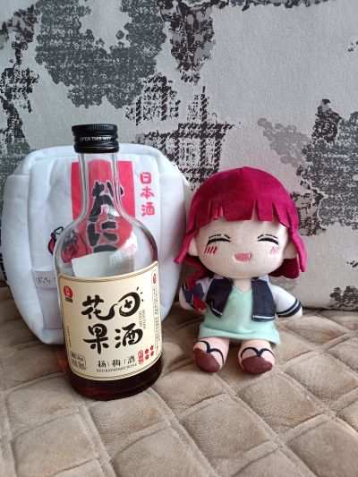 孤独摇滚！手掌型玩偶 广井菊理 附Onikoro清酒随身包／后藤偶 附吉米亨随身包／伊地知星歌 附STARRY随身包／音响师 附STARRY随身包