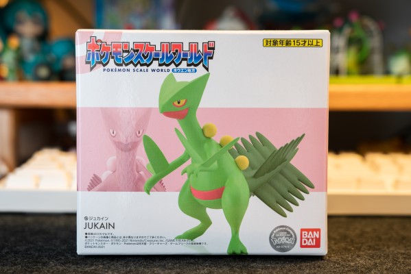 宝可梦比例世界 丰缘地区 蜥蜴王