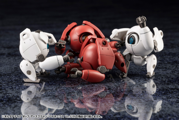 六角机牙 ALTERNATIVE ORB EARTHCLINE BIOMECHANICS