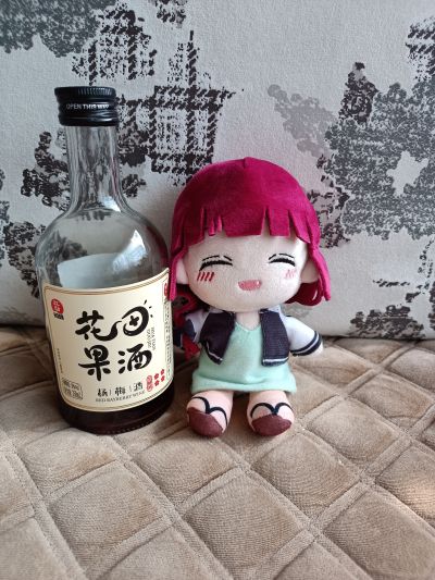 孤独摇滚！手掌型玩偶 广井菊理 附Onikoro清酒随身包／后藤偶 附吉米亨随身包／伊地知星歌 附STARRY随身包／音响师 附STARRY随身包