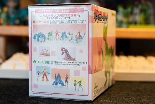 宝可梦比例世界 丰缘地区 蜥蜴王