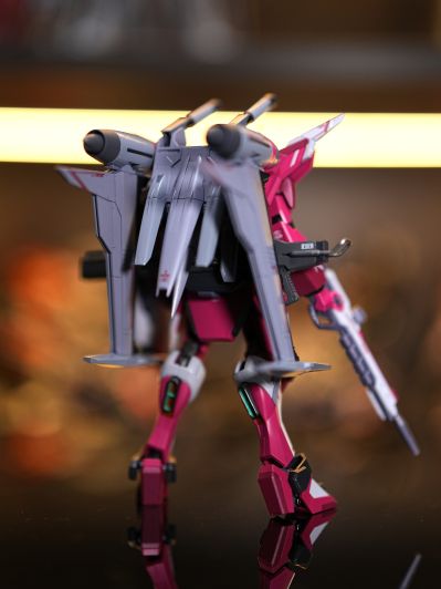 METAL ROBOT魂＜机动战士系列＞无限正义高达二式
