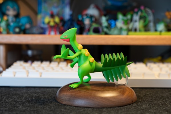 宝可梦比例世界 丰缘地区 蜥蜴王