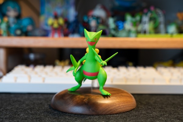 宝可梦比例世界 丰缘地区 蜥蜴王