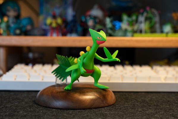 宝可梦比例世界 丰缘地区 蜥蜴王