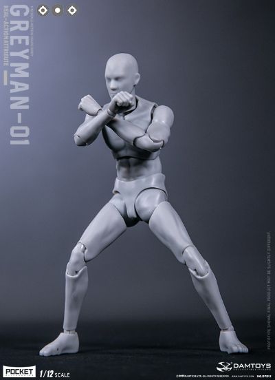 DAMTOYS 1/12 可动人形 “灰人”-NO.DPS11