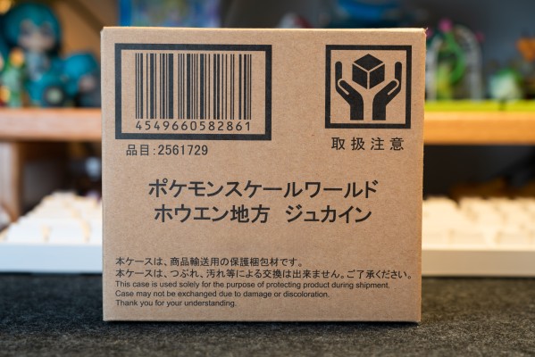 宝可梦比例世界 丰缘地区 蜥蜴王