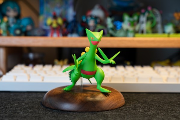 宝可梦比例世界 丰缘地区 蜥蜴王