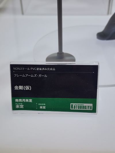金刚 泳装