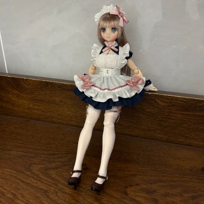 POD051-HWD Colorful Dreamin'/仙境里的叶鸟心音 深色皇家蓝