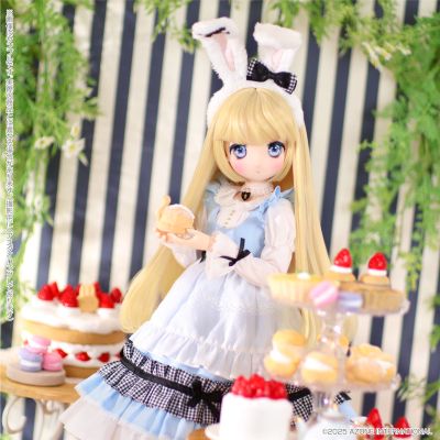 AOD517-KBW 艾莉丝收集 小型 小春/美妙的兔子花园 奇妙兔