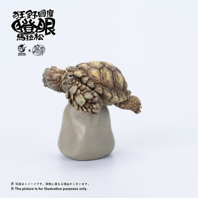 狂野国度瞪眼马拉松 苏卡达