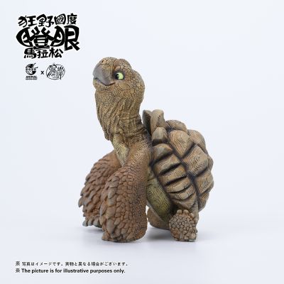 狂野国度瞪眼马拉松 苏卡达