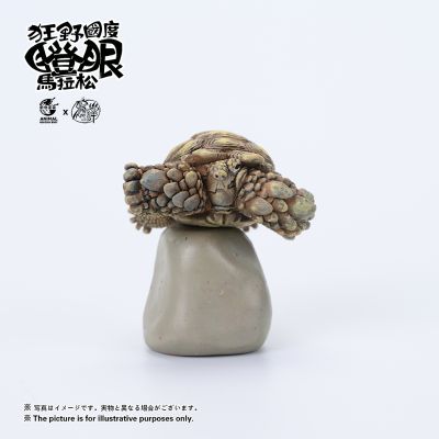 狂野国度瞪眼马拉松 苏卡达