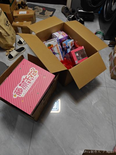 超时空要塞F系列 FIGURIZMα “李兰花”  时之迷宫款