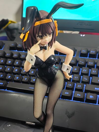 凉宫春日的忧郁 BiCute Bunnies人偶ー凉宫春日ー