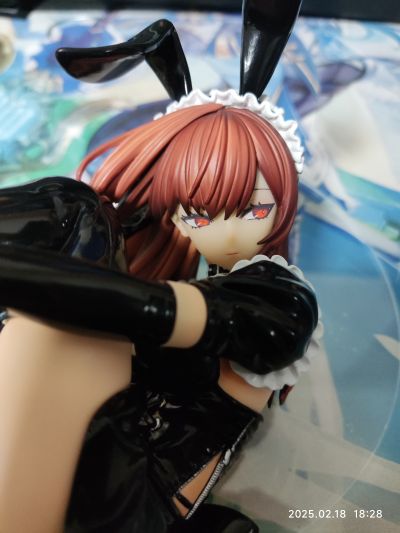 姬宫妃奈 兔女郎