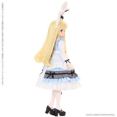 AOD517-KBW 艾莉丝收集 小型 小春/美妙的兔子花园 奇妙兔