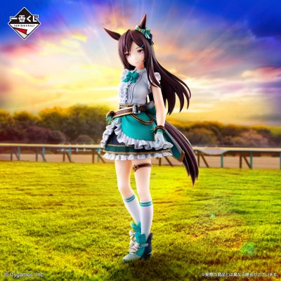 一番赏 赛马娘 第11弹 B奖 目白杜宾