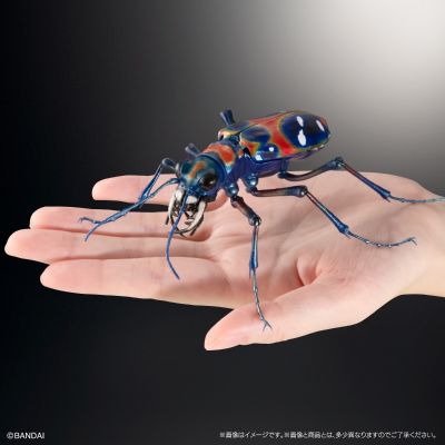 进化生物大图鉴 长牙大天牛 + 虎甲虫 展示架套装