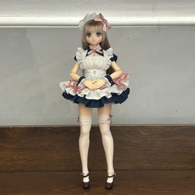 POD051-HWD Colorful Dreamin'/仙境里的叶鸟心音 深色皇家蓝